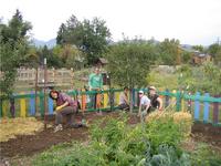 Growing Gardens 2